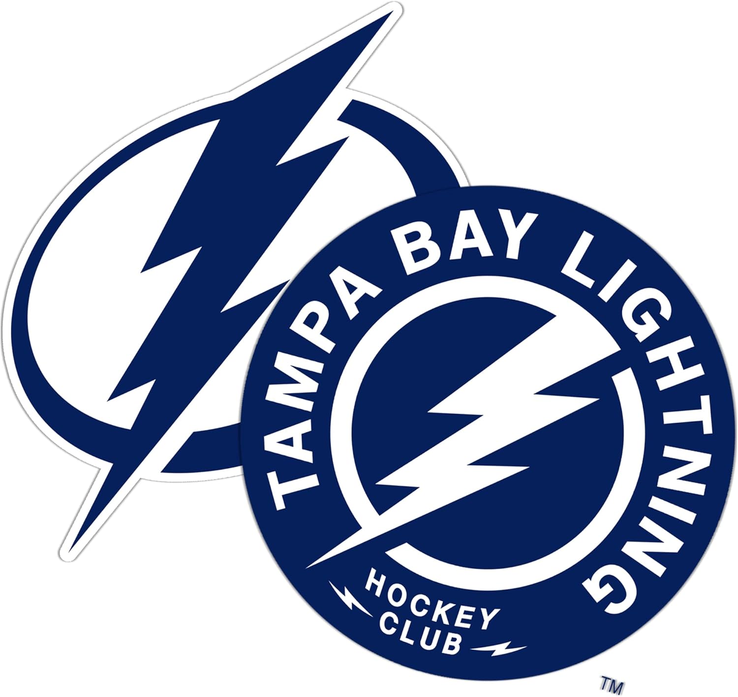 Desert Cactus Tampa Bay Lightning Team NHL National Hockey League Sticker Vinyl Decal Laptop Water Bottle Car Scrapbook (4 inch Sticker)
