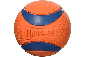 Chuck it! Ultra Balls, Large/Grande, Orange (2 Pack)