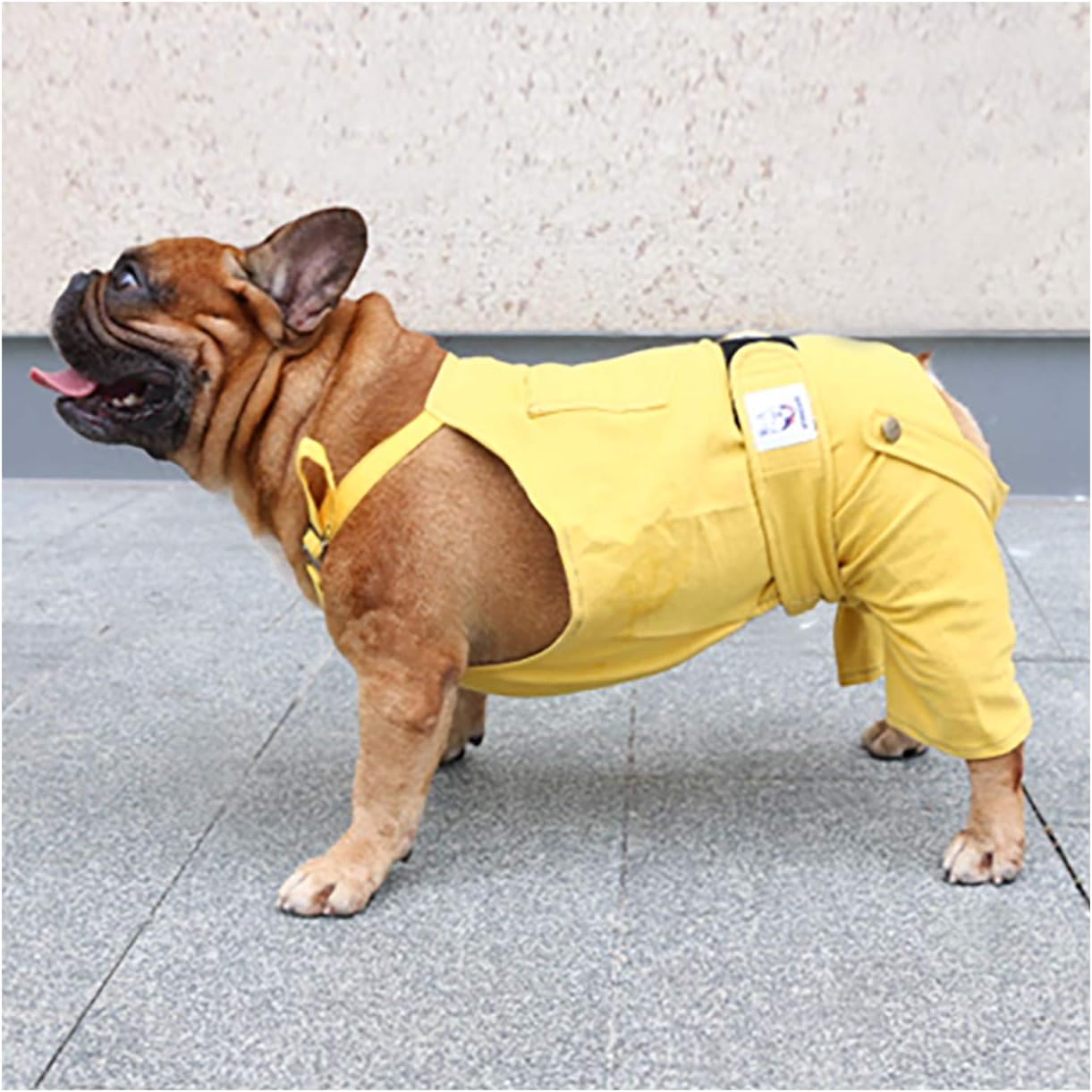 iChoue Cute Dog Diapers Suspenders for French Bulldog Frenchie Pug English Bulldog Female in Heat Cycle Yellow - XXLarge with 2pc Diapers