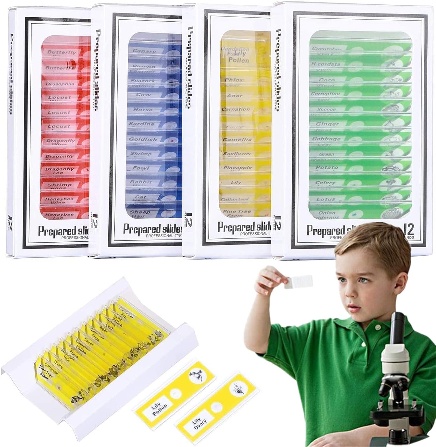 hothuimin KIDS Microscope Slides 48pcs Kids Plastic Prepared Microscope