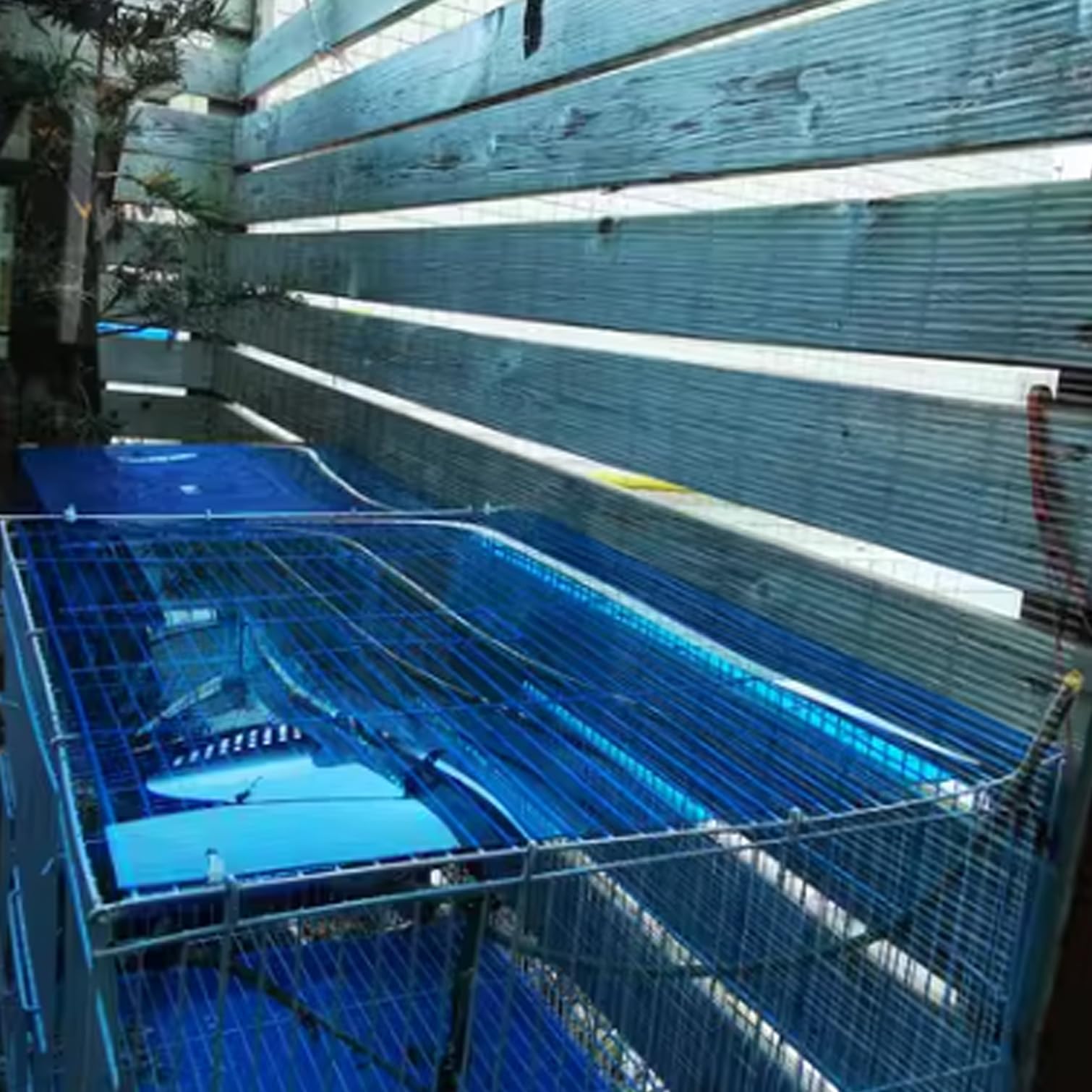 Lámina de policarbonato para techos, lámina de plástico acrílico Azul Transparente y Ligera, Revestimiento para techos de invernaderos, toldo para Lluvia, Cubierta para Techo de Patio o porc
