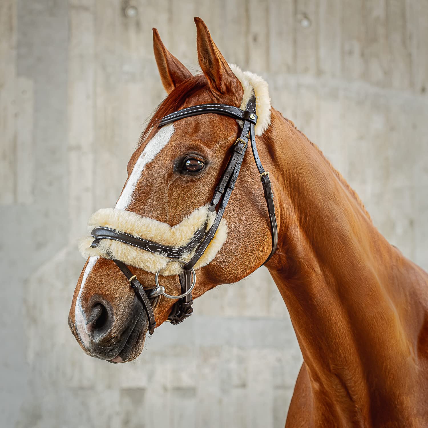 SUNRIDE Brida Sueca “Oxford” con riendas - Hecha de Suave Cuero Genuino con Pelo, Ajustable y anatómica (Pony, marrón)