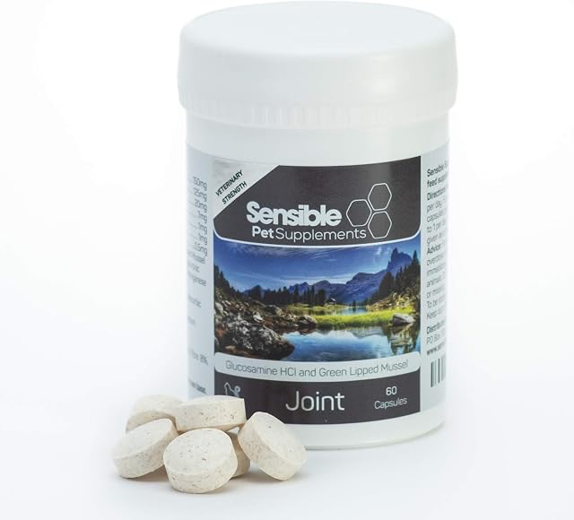Sensible Pet Supplements 'Joint' | For cats | Contains glucosamine, green lipped mussel and a range of antioxidants | (60 Capsules)