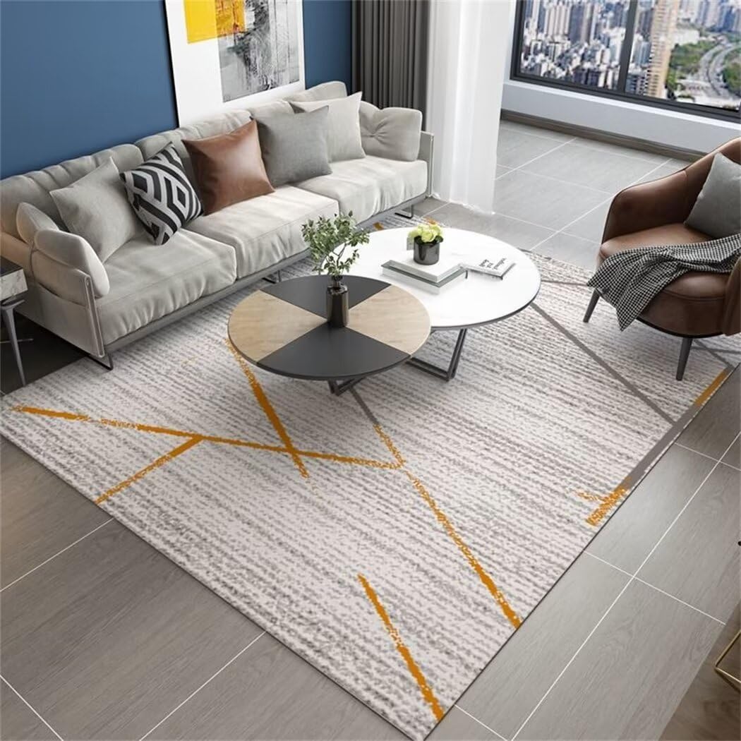 Tapis de chambre grand format 160X200 résistant pour salon et chambre adulte lavable