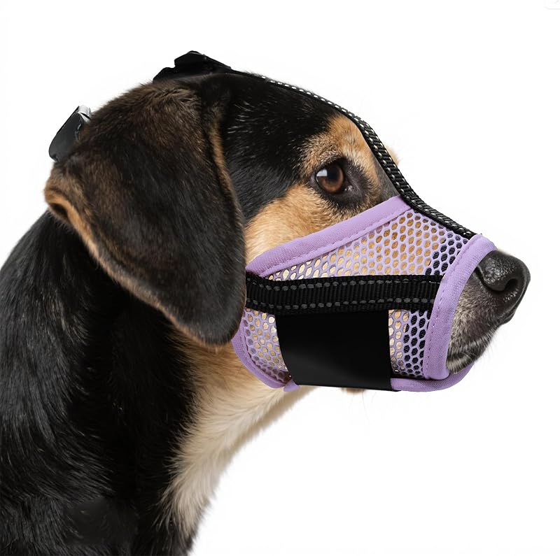 Dog Muzzle with Air Mesh Reflective Straps Allows Panting Drinking | Loop Dog Mouth Guard Cover,Prevent Barking/Chewing/Biting/Scavenging/Licking,Medium Dogs,for Grooming Walking Vet,Lavender M