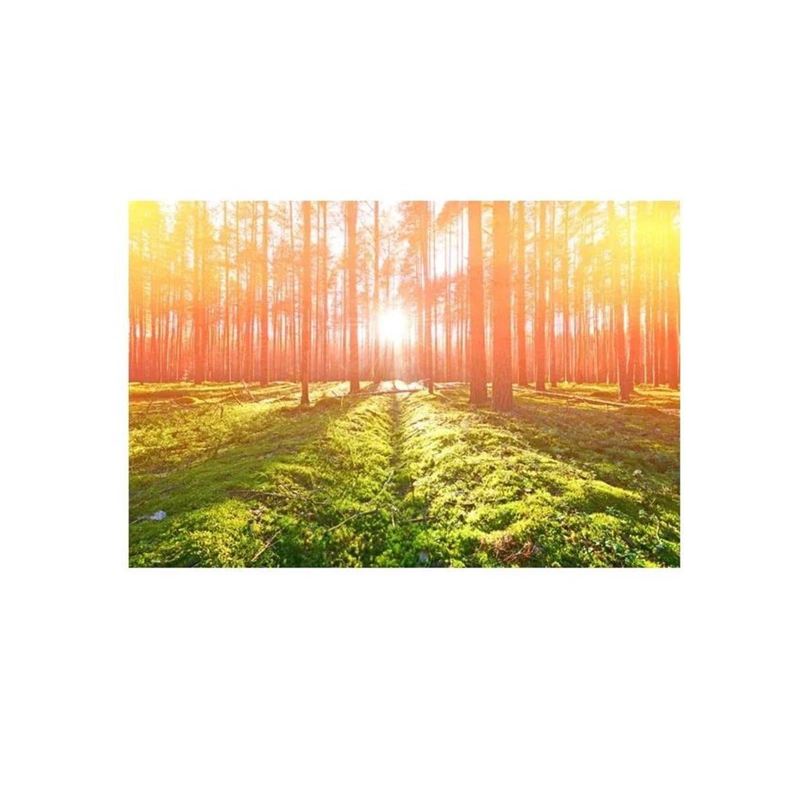 BYAMBD Aesthetic Pictures Nature Landscape Posters No Frame Forest Sunshine Prints Canvas Painting Wall Art Picture For Living Room Decoration(N,30x40cm)