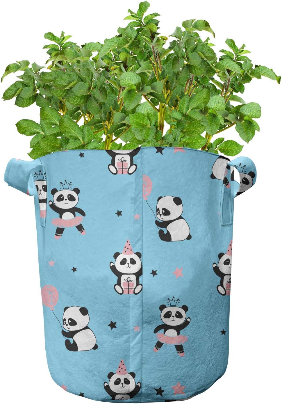 Lunarable Panda Grow Bags 5-Pack, Bears Birthday Party, Heavyduty Fabric Pots with Handles for Plants, 7 Gallon, Sky Blue Multicolor