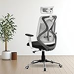 FUGO FG406 Ergonomic High Back Mesh Office Chair with Korean Nylon Mesh, Cushioned Seat, Tilting Mechanism, Adjustable Height, Headrest, Armrests, Lumbar Support Ideal for Work, 3-Year Warranty