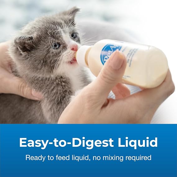 Pet-Ag PetLac Liquid for Kittens - 32 oz - Ready-to-Feed Milk Replacement for Kittens Newborn to Six Weeks Old - Easy to Digest