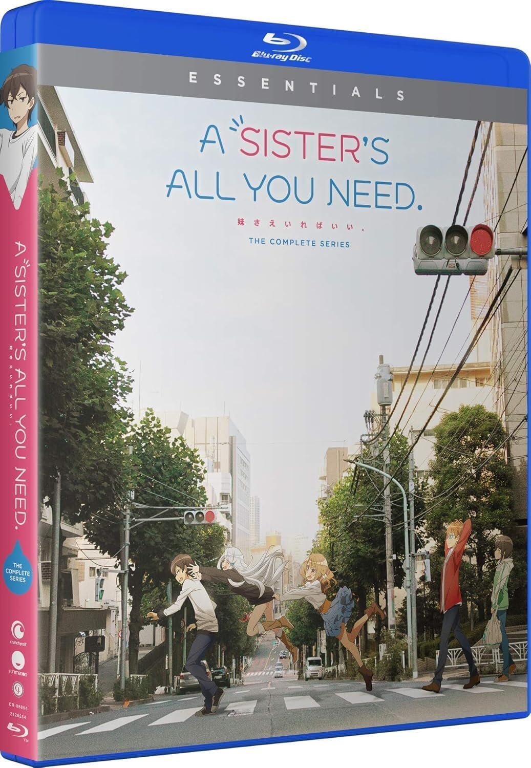 A Sister's All You Need.: The Complete Series [Blu-ray]