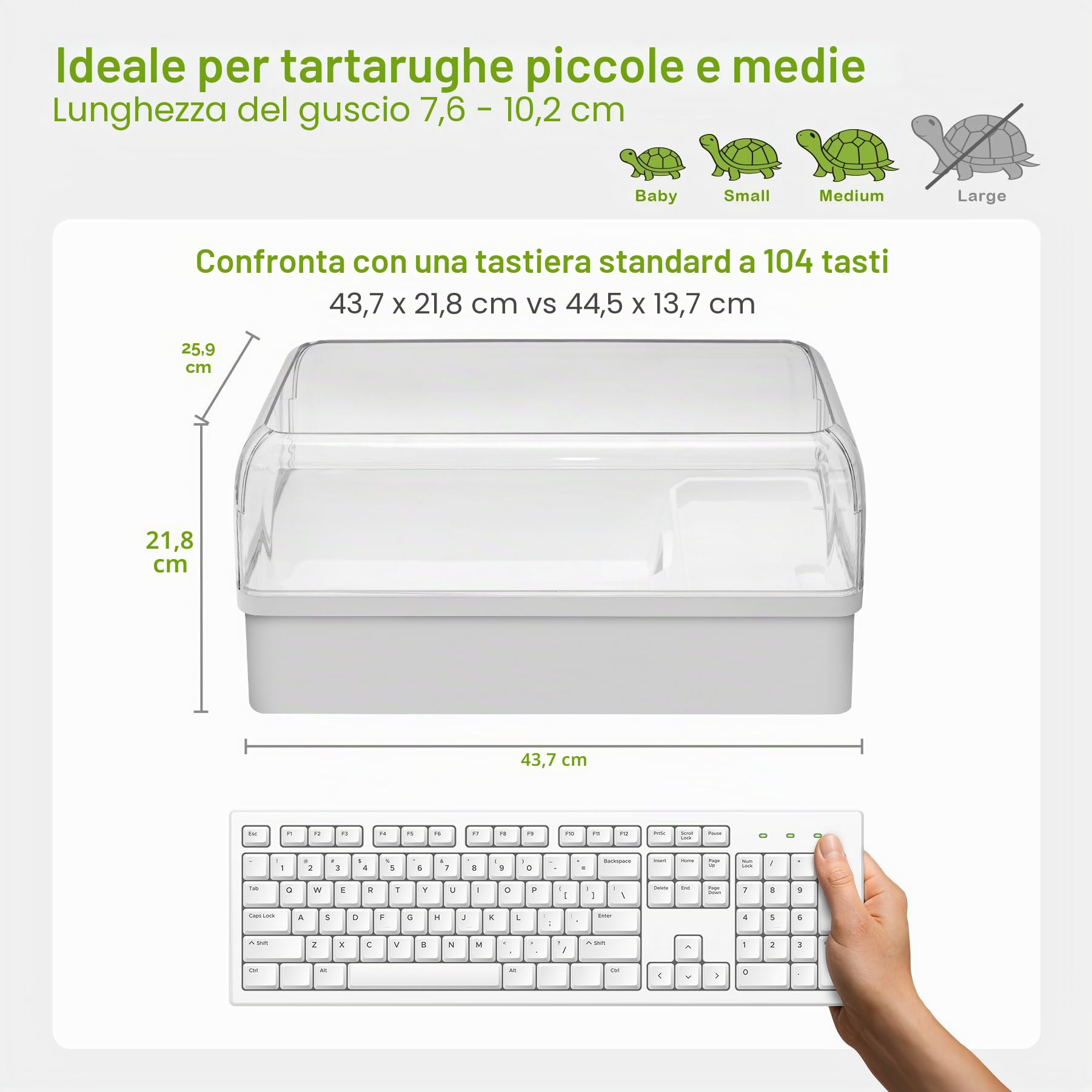 Kit per acquario per tartarughe acquatiche, con area multifunzione, nascondiglio, luce UV, filtro dell'acqua, rete per pesci, drenaggio, pianta per tartarughe, rettili, granchi