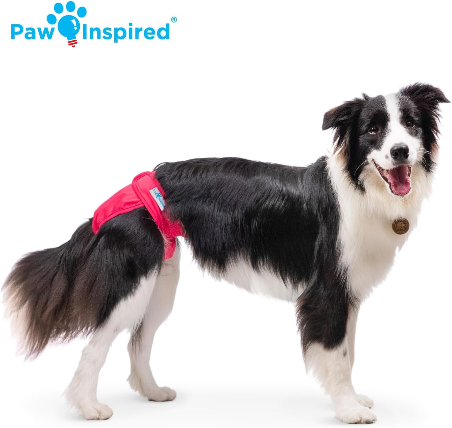 Paw Inspired Washable Dog Diapers (2 Pack) | Reusable Cloth Doggy Diapers for Female Small, Medium, Large Size Dogs (Pink and Blue Colors with Black Lining, Size Large)
