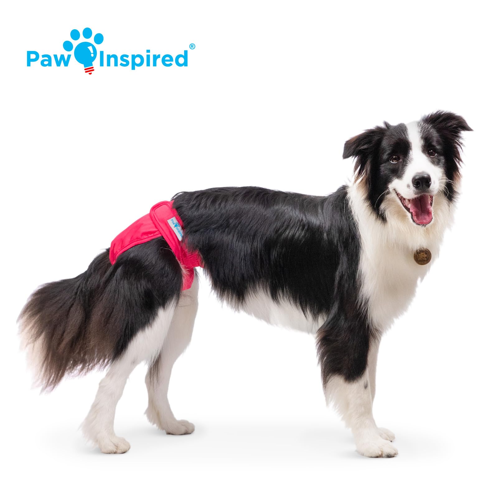 Paw Inspired Pañales lavables para perros, forro surtido y negro, grande, paquete de 2 | Pampers de tela reutilizable para perros hembras para entrenamiento de orinal, calor, incontinencia, viajes