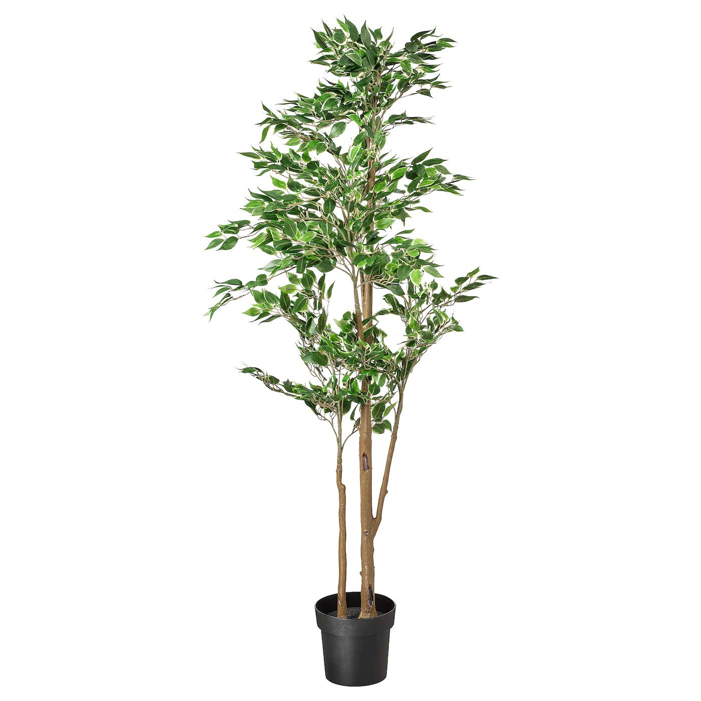 IKEA FEJKA フェイカ 人工観葉植物 ベンジャミン 楽天市場】[IKEA/イケア/通販]FEJKA フェイカ 人工観葉植物, 室内/屋外
