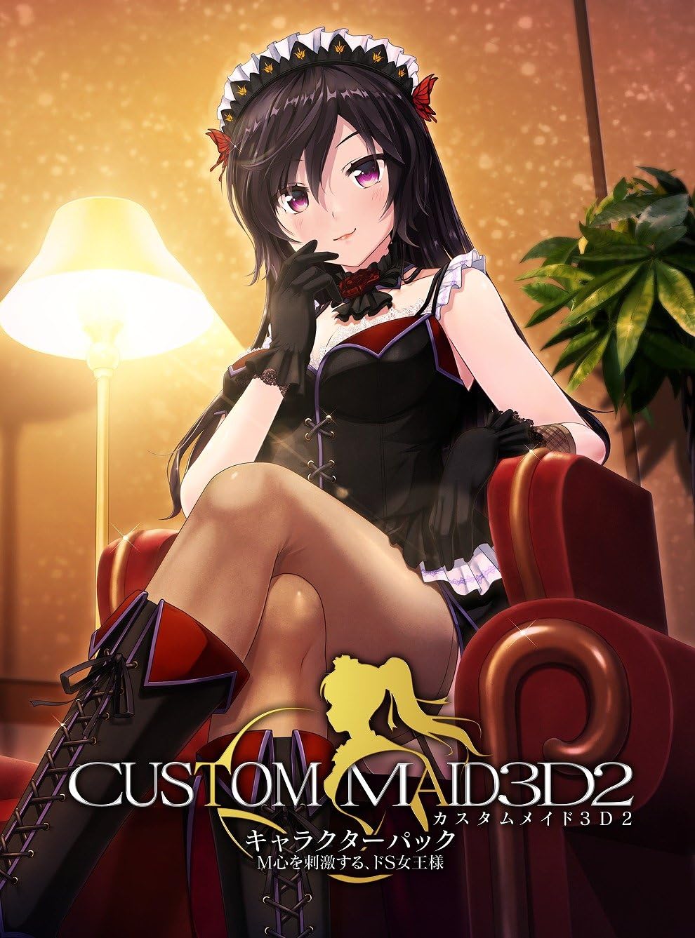 Amazon カスタムメイド3d2 キャラクターパック M心を刺激する ドs女王様 アダルトpcゲーム Pcソフト