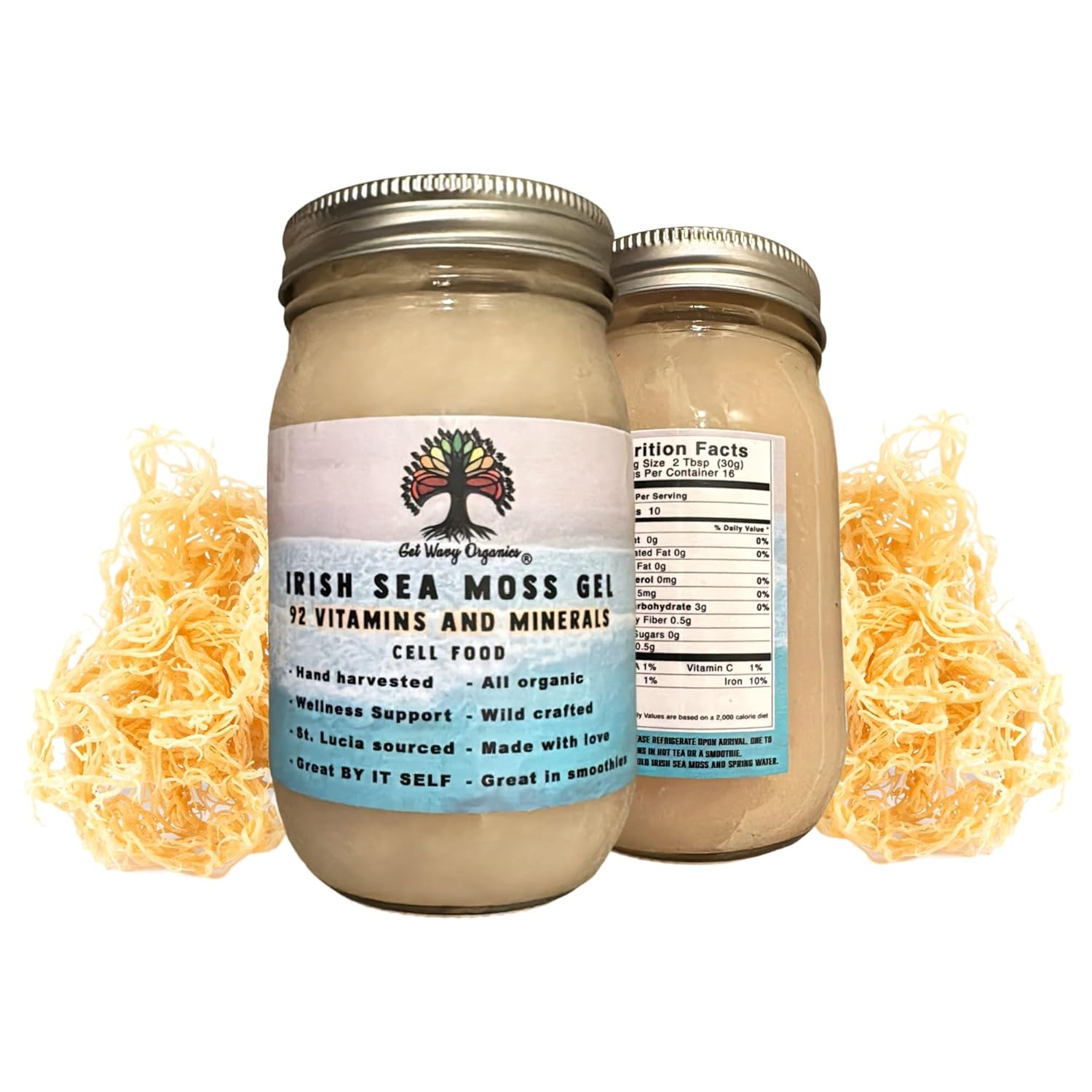 Get Wavy Organics - Wildcrafted 100% Organic Gold Irish Sea Moss Gel | Rich in 92 Vitamins & Minerals | SeaMoss Gel Raw | Full Spectrum Superfood | Edible Sea Vegetable for Smoothies, Teas & Recipes | Vegan Alkaline Gluten Free NON GMO Plant Based | Made in USA (16 oz) (Pack of 1)
