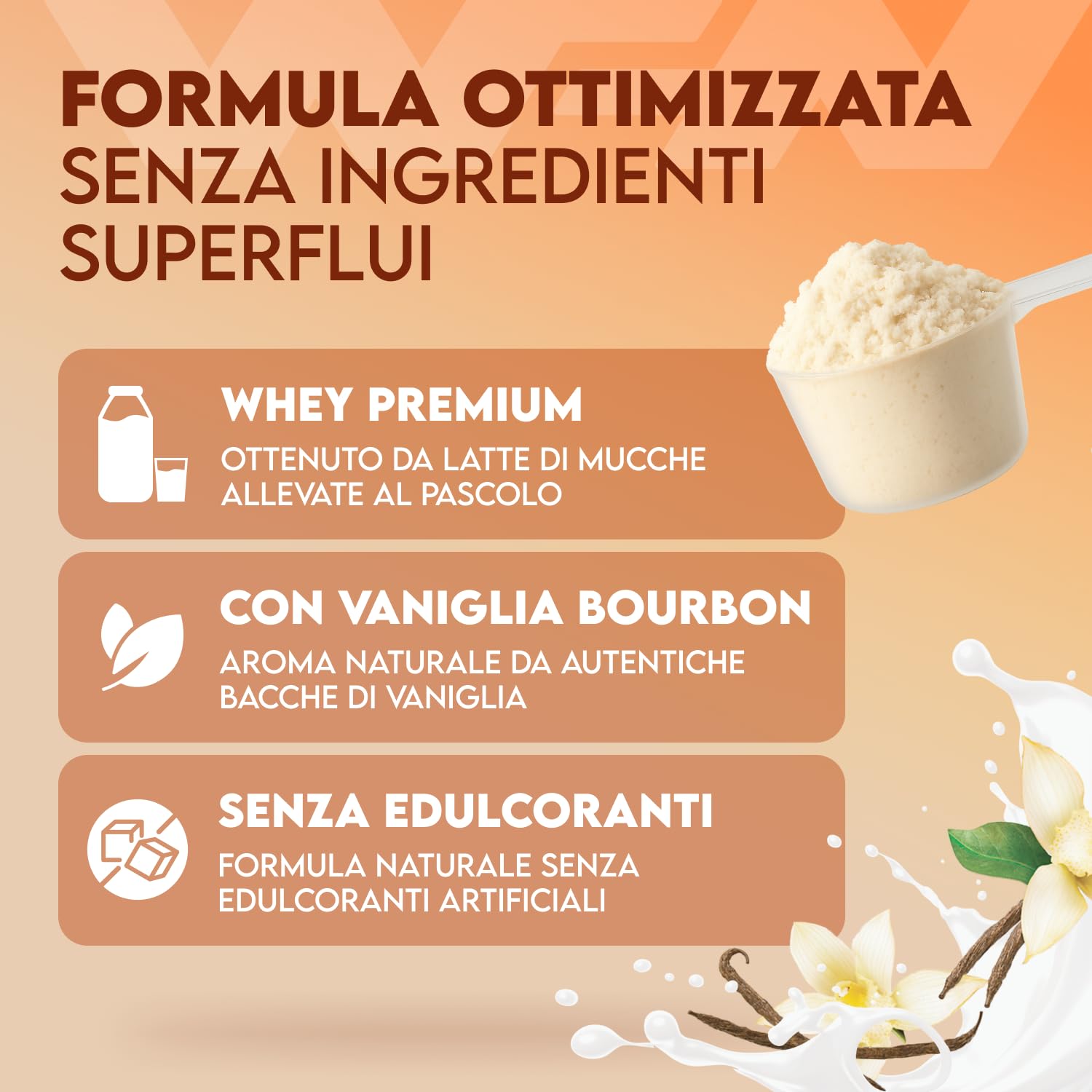 WFN Approved Whey Proteine in Polvere – Natural Vanilla – Senza Edulcoranti e Senza Zuccheri Aggiunti – 1 kg – Con Lattasi – Prodotto e Testato in Laboratorio in Germania
