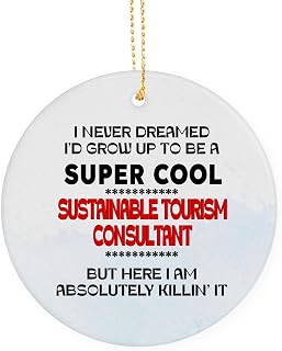 Cool Sustainable Tourism Consultant Appreciation Gift Ornament, Birthday, for Sustainable Tourism Consultant Gift, Coworker, Friends Keepsake Ornaments