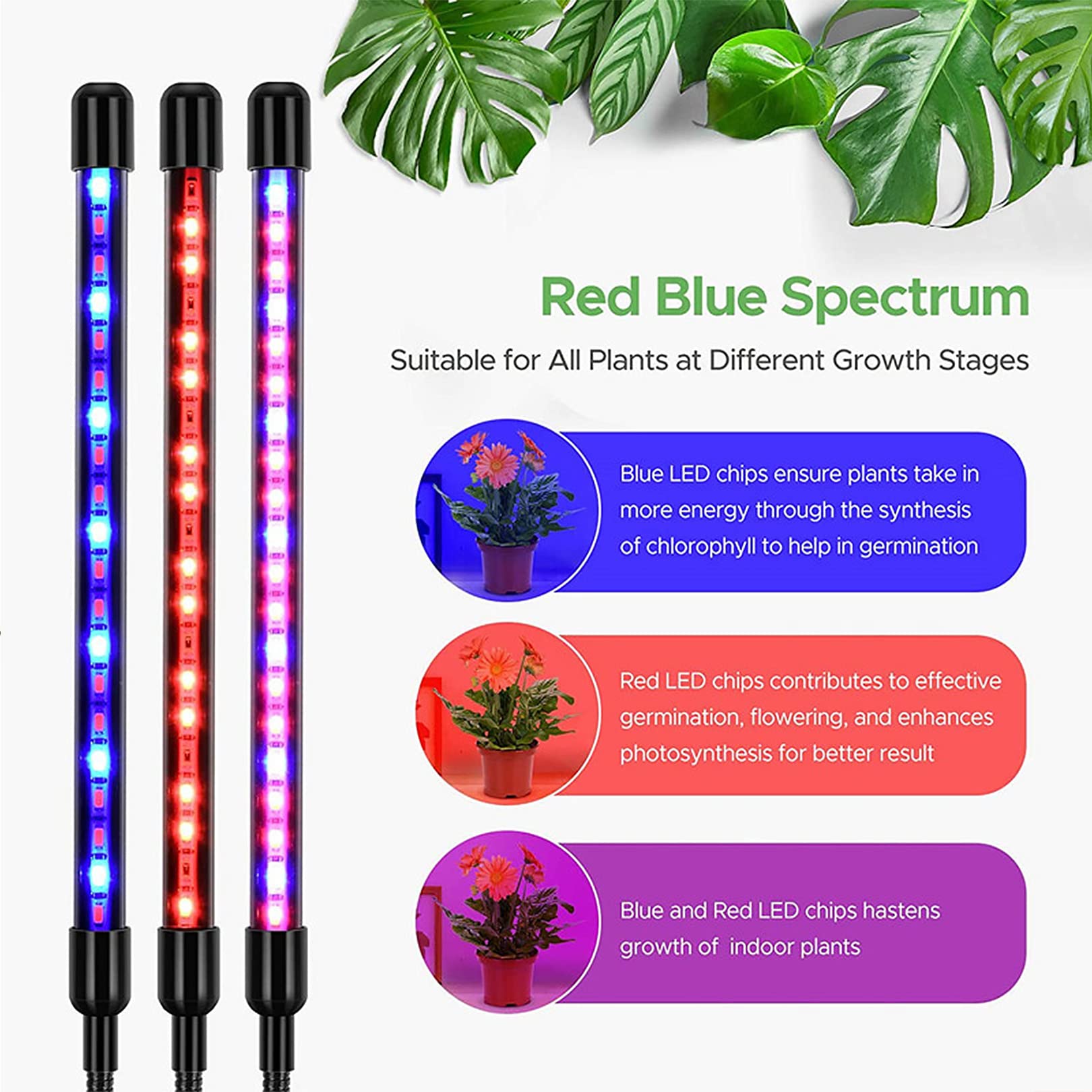 Oświetlenie do uprawy z regulowanym statywem, 4-głowicowe oświetlenie do roślin wewnętrznych 80 LED Full Spectrum z zegarem 4/8/12H dla wszystkich roślin domowych