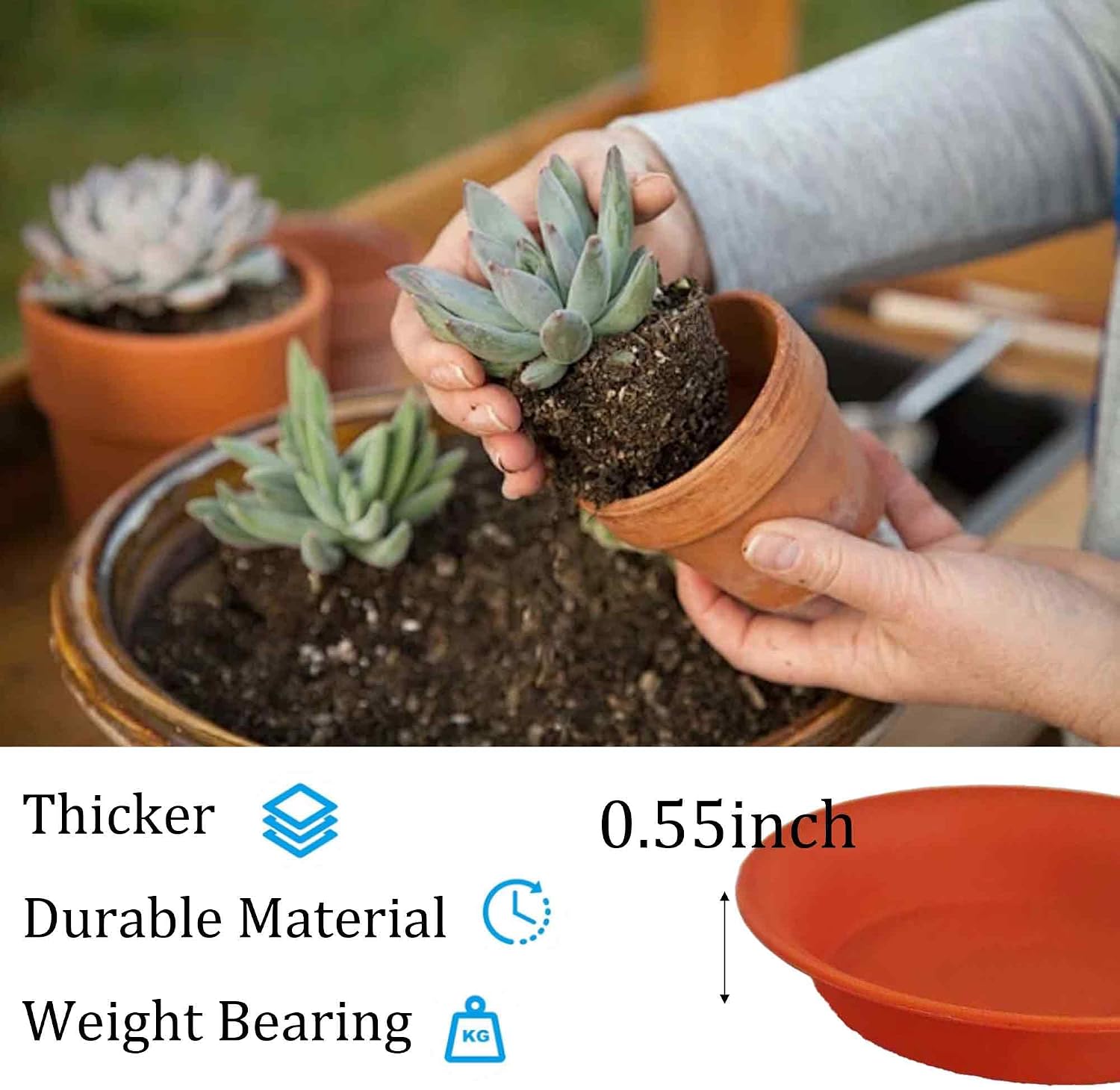 10Pcs 2.76 Inch Plant Saucer Tray, Round Plastic Water Trays for Flower Pots, Drainage Saucers for Succulents & Small Potted Plants, Indoor Outdoor Planter Accessories (Terracotta red) image 5