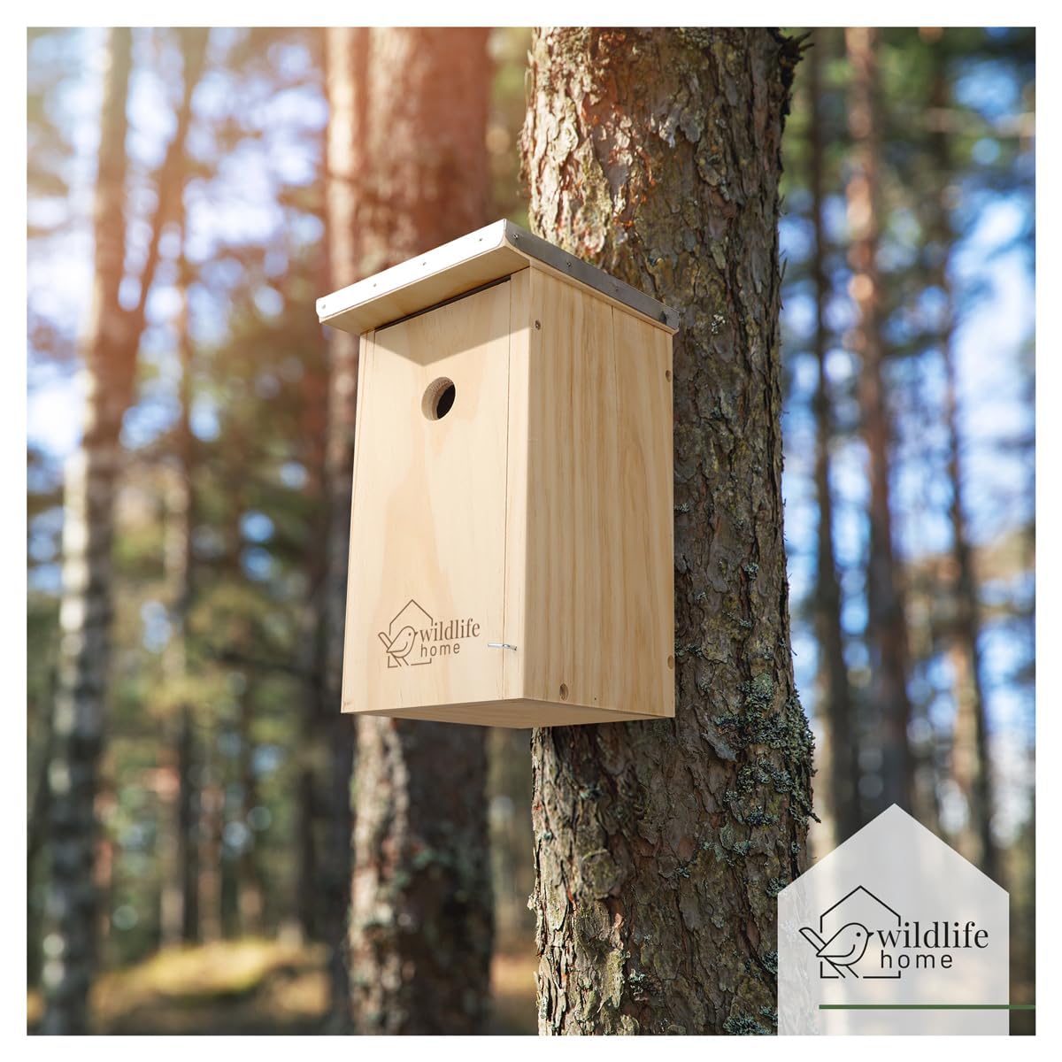 WILDLIFE HOME Nichoir mésanges avec toit en métal pour mésanges charbonnières, etc. I selon NABU en bois massif vissé I Résistant aux intempéries et non traité I Nichoir à suspendre