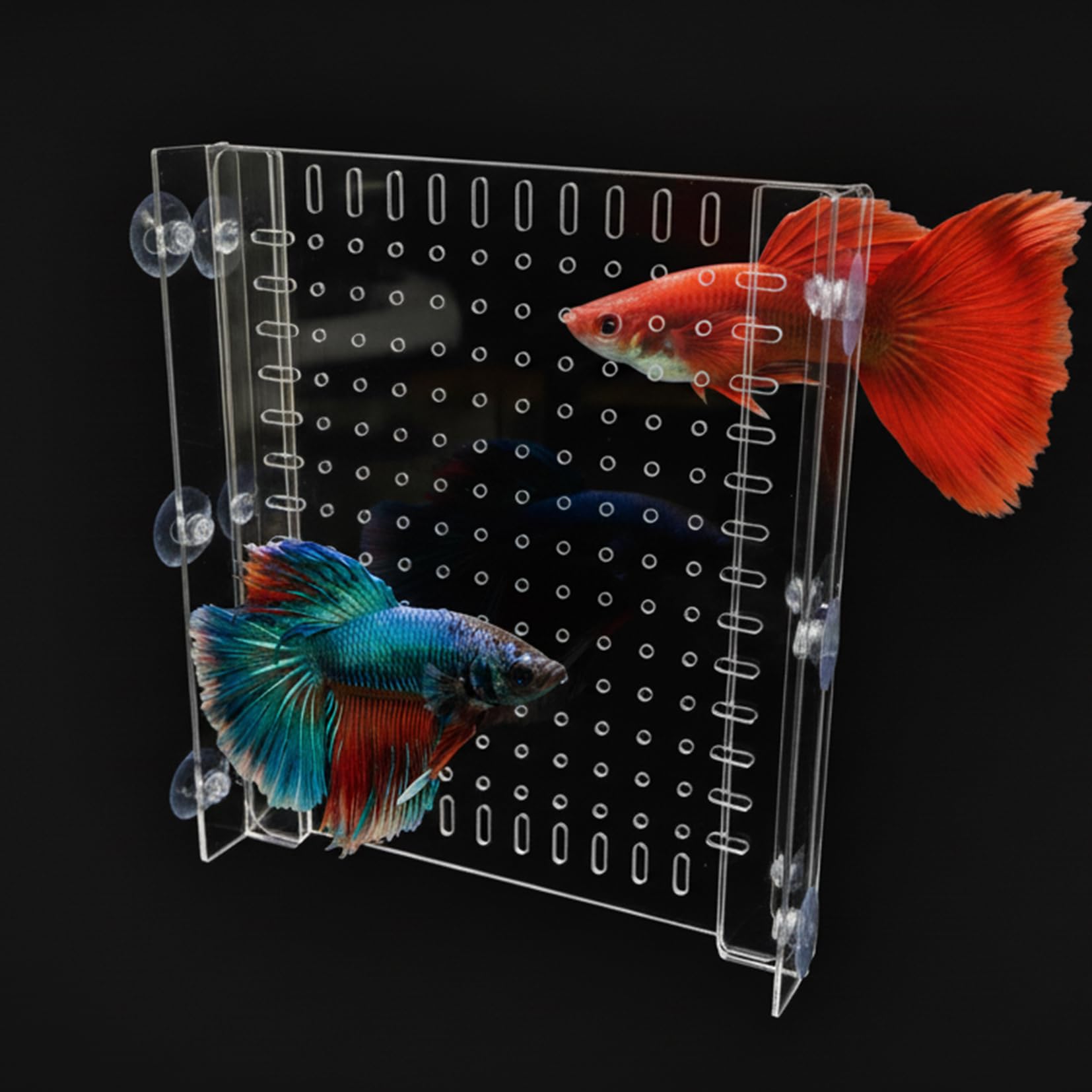 Fish Tank Divider for 15/20 Gallon Long Aquariums, 11.2"x11" Acrylic Adjustable Separator with Suction Cups