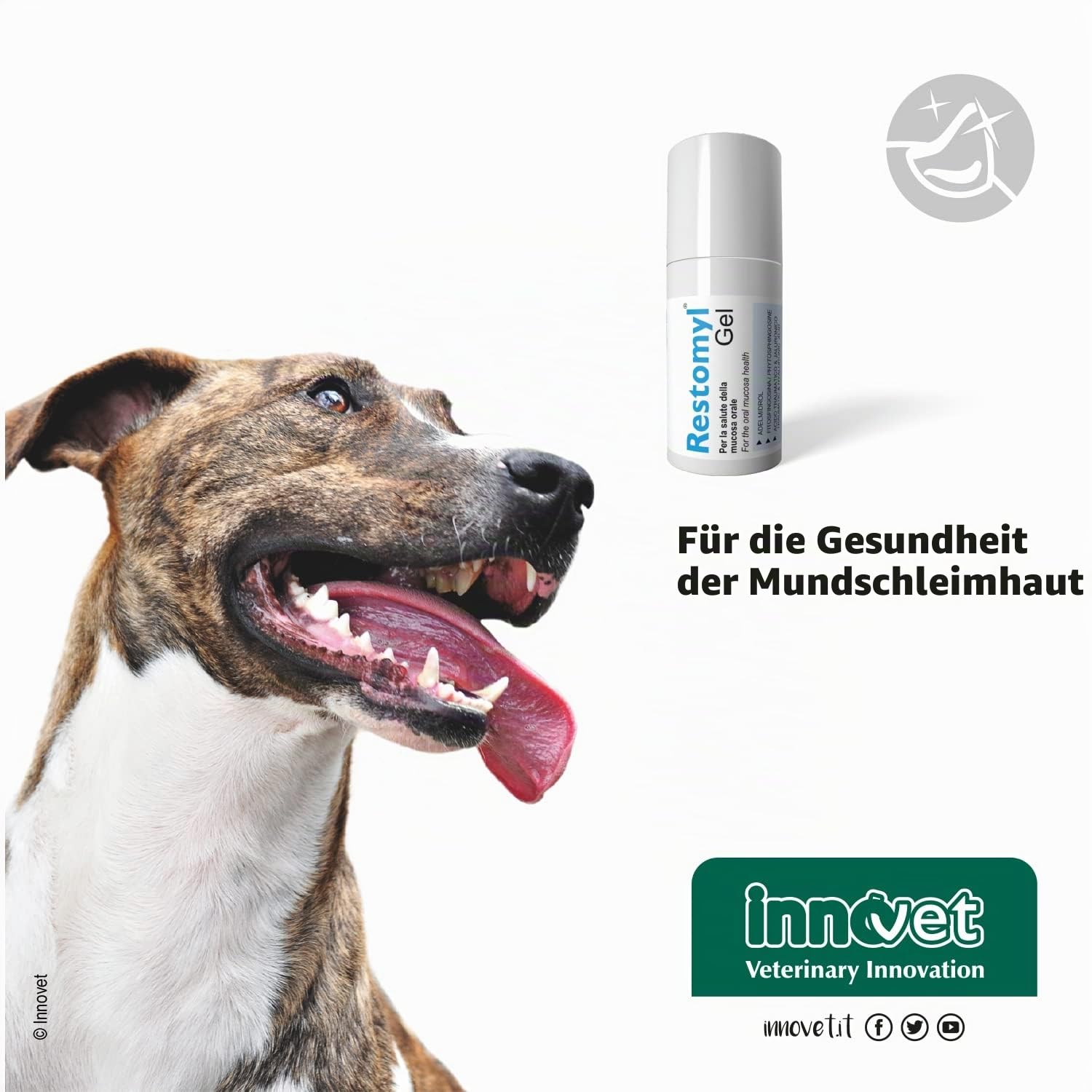 Innovet Restomyl Zahnpflege Gel für Hunde & Katzen, 30 ml