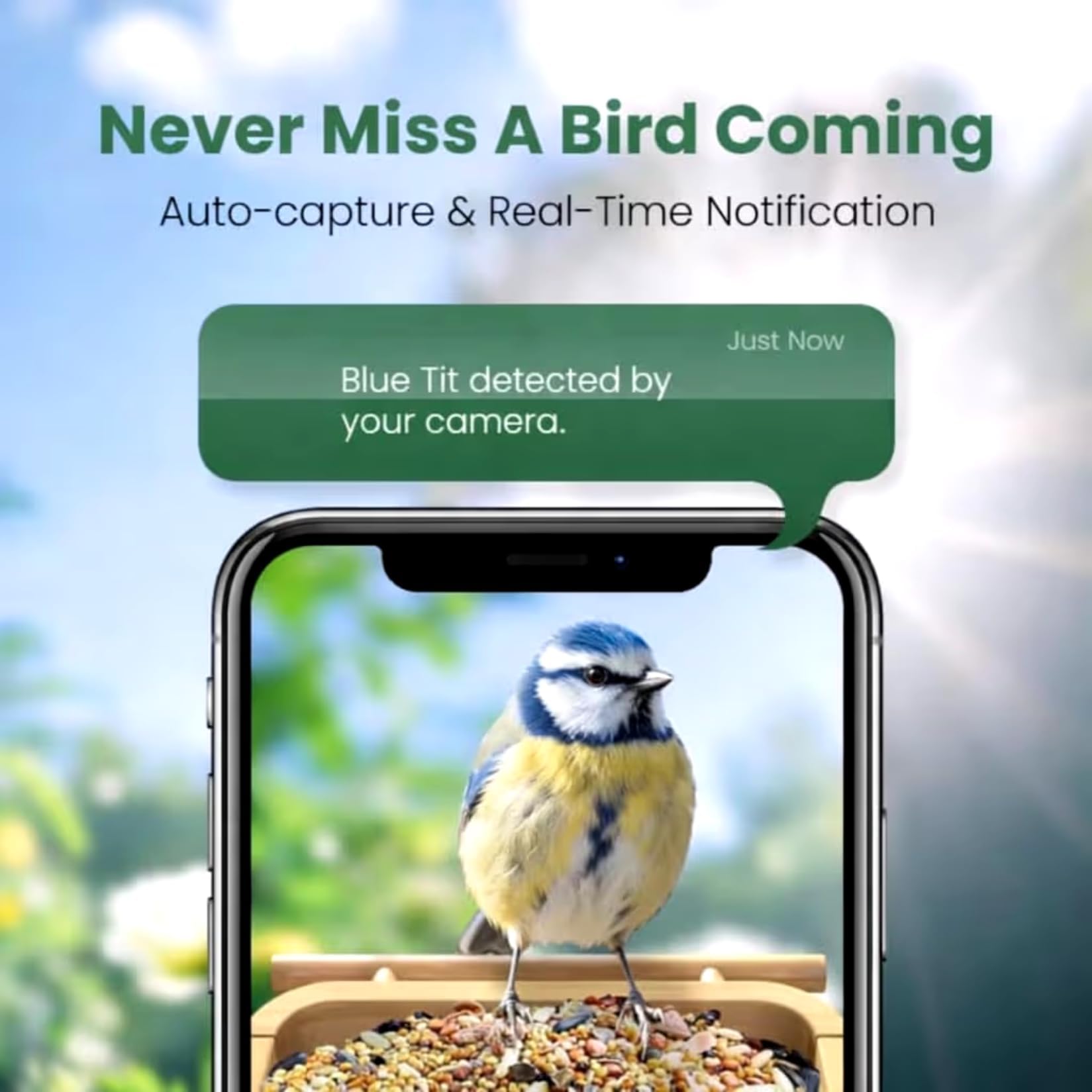 Bird Box Cámara WiFi 4MP - Cámara solar para casa de pájaros para monitoreo de entrada de caja nido, visión en vivo en la aplicación del teléfono, visión nocturna, alertas de movimiento, cámara de