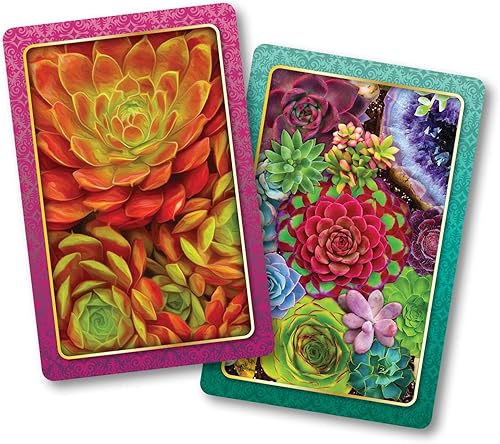 Springbok Juego de cartas de índice estándar Succulents
