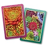 Springbok Succulents Standard Index Playing Cards Set