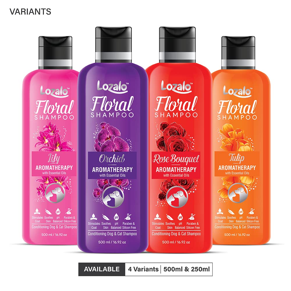 Lozalo Floral Aromatherapy Pet Conditioning Shampoo - 500ml, Rose Fragrance, Coat Cleansing, Odour Control Shampoo for Dogs & Cats, with Aloe Vera Extract and Cinnamon Oil to Promote Healthy Skin 4