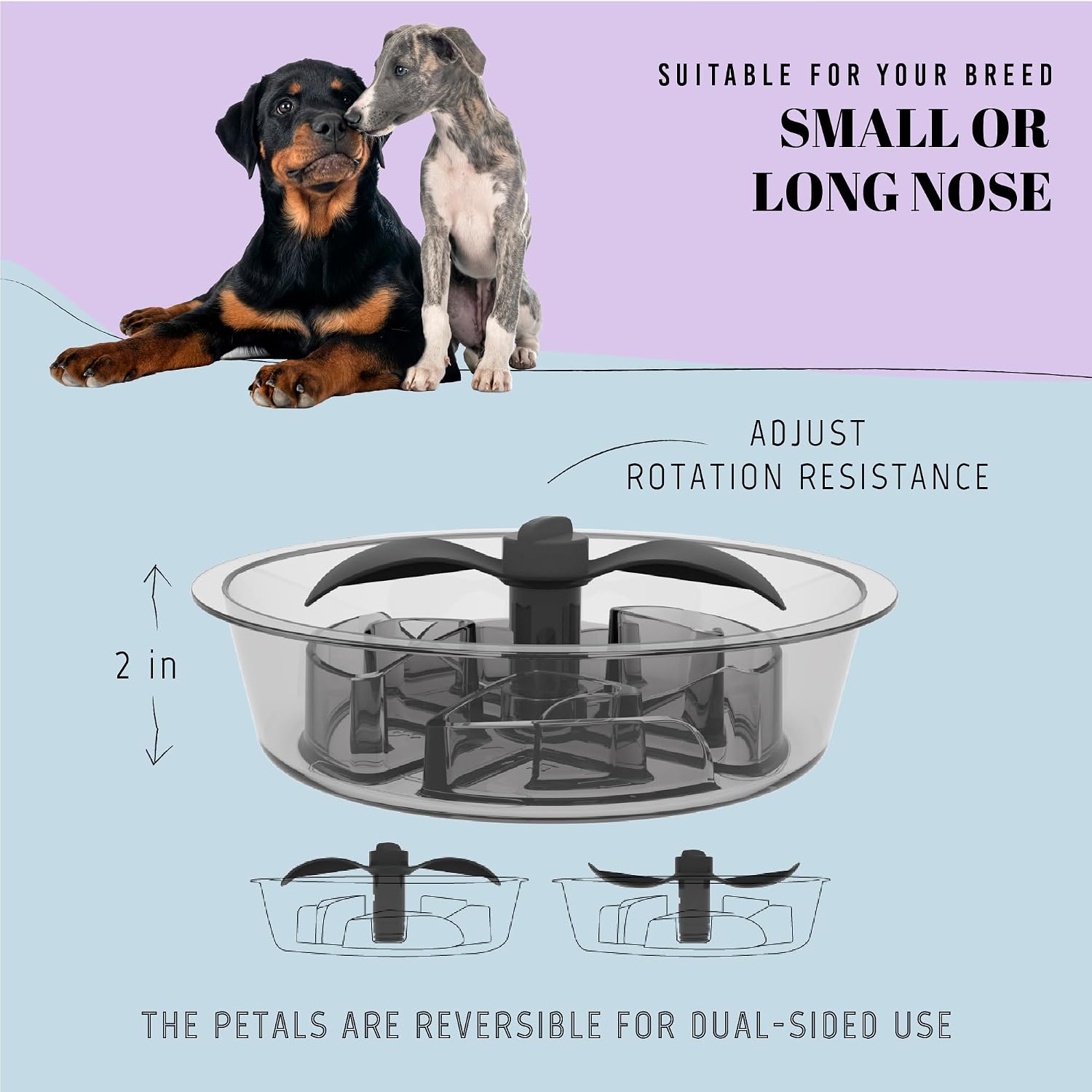 AVERYDAY Slow Feeder Dog Bowls for Medium Breed, 1.5 Cups Engagement Food Puzzle Bowl with Spinning Slow Feeder Insert, Non-Slip Base, Fits for Raised Stand, Hard Maze Design for Medium and Small Dogs