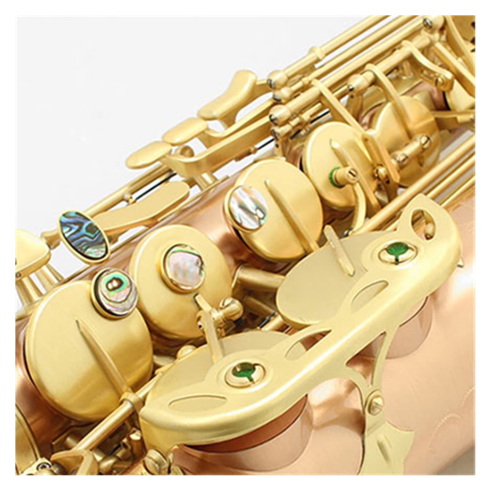 Amazon.com - TSTS E-Flat Alto Saxophone/Pipe Gold-Bronze Brushed