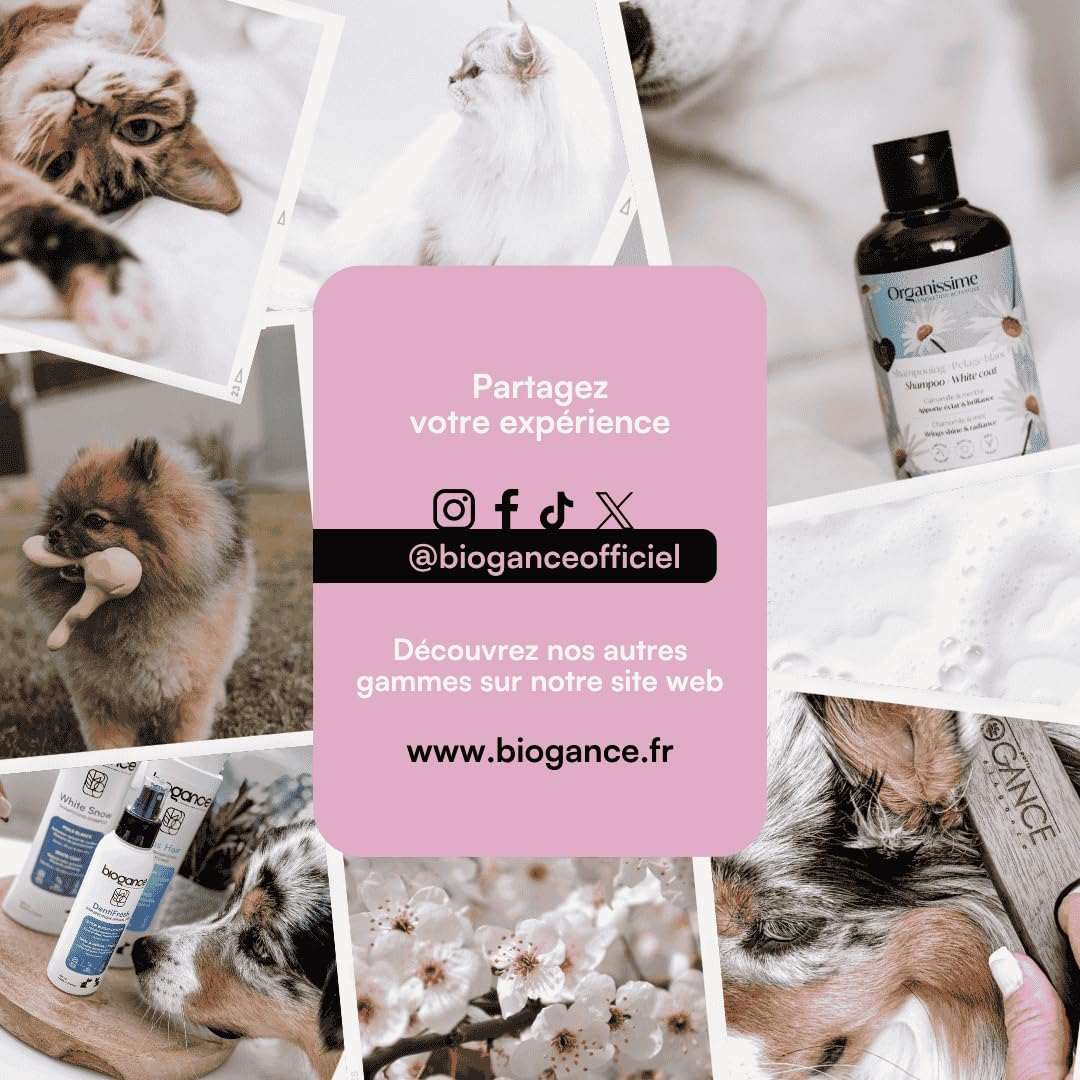 Biogance - Démêlant Xtra Liss - 250 ML - Produit de Soin et d'hygiène pour Chat - A Base de protéine de Riz - Convient aux Chats à Poils Longs - Made in France