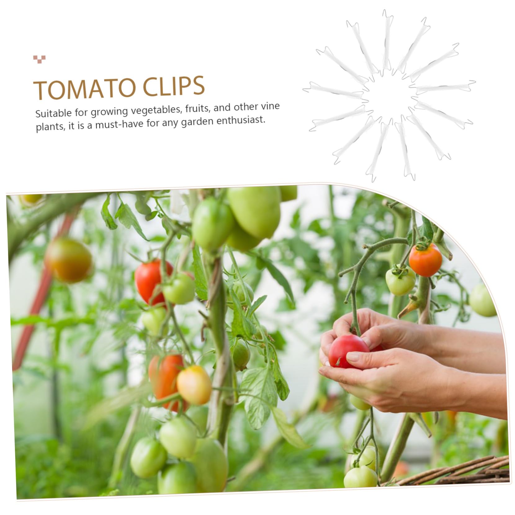 BESPORTBLE 4sätze Tomatenhaken Teiliges Für Pflanzenstütze Robuste Clips Zur Unterstützung Von Tomatenranken Gewächshäusern Und Gärten Langlebige Konstruktion Für Optimale