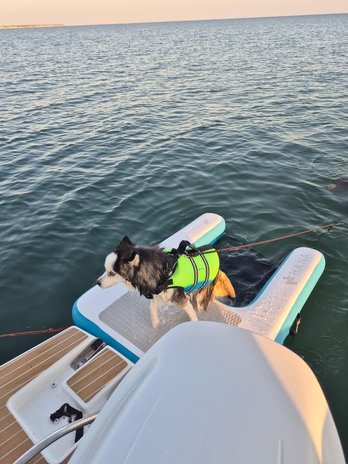 HANA Rampe de Sortie d’Eau Gonflable pour Chiens – Plateforme Flottante Premium en Dropstitch (150x100x15cm) – Échelle de Bateau, Piscine et Quai – Haute Résistance & Filet Antidérapant avec Marches
