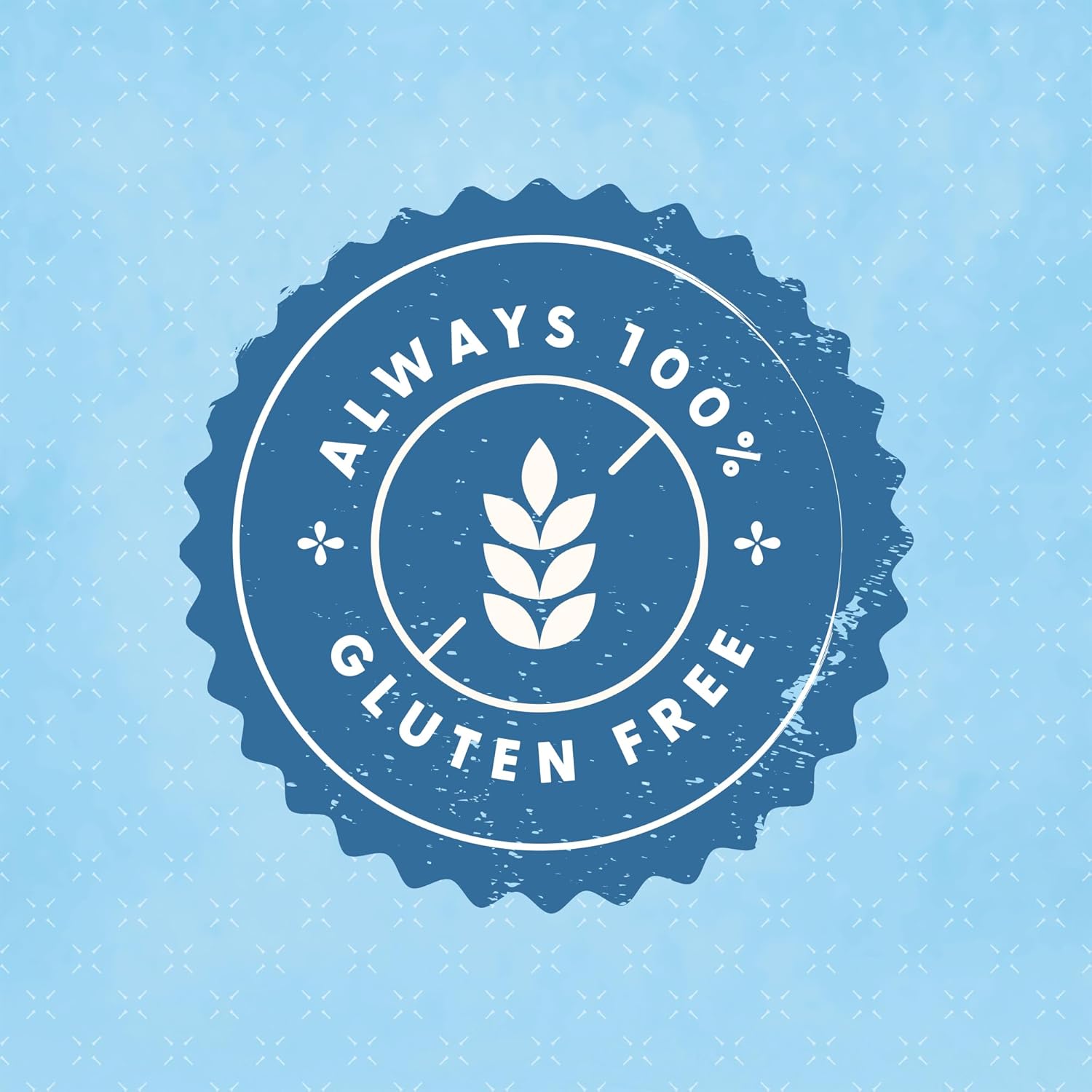 Pamela's Gluten Free Chocolate Brownie Mix, Sweetened With Honey, Non Dairy & Wheat Free, 16-Ounce Bag (Pack of 6)