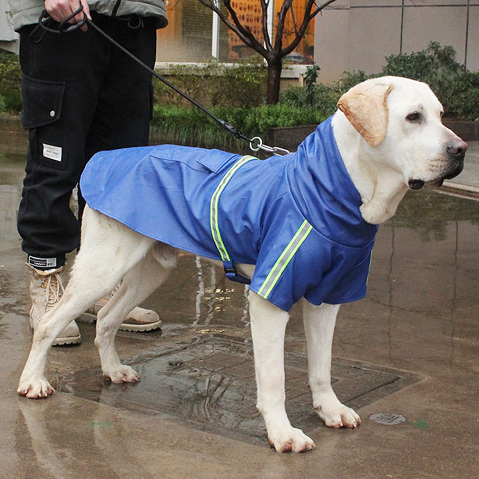 Impermeabile per Cani Riflettente Cappotto Cane Impermeabile con Cappuccio Giacca per la Pioggia Cane di Taglia Piccola per Escursionismo