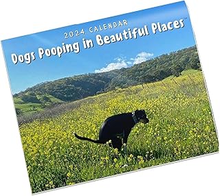 Dogs Pooping Calendar 2024, Dogs Pooping In Beautiful Places Calendar 2024, Pooping Pooches Calendar 2024, Funny Wall Calendar,Hanging Flip Calendar, Planner Calendar 2024, Wall Hanging Decoration 2023 (A)