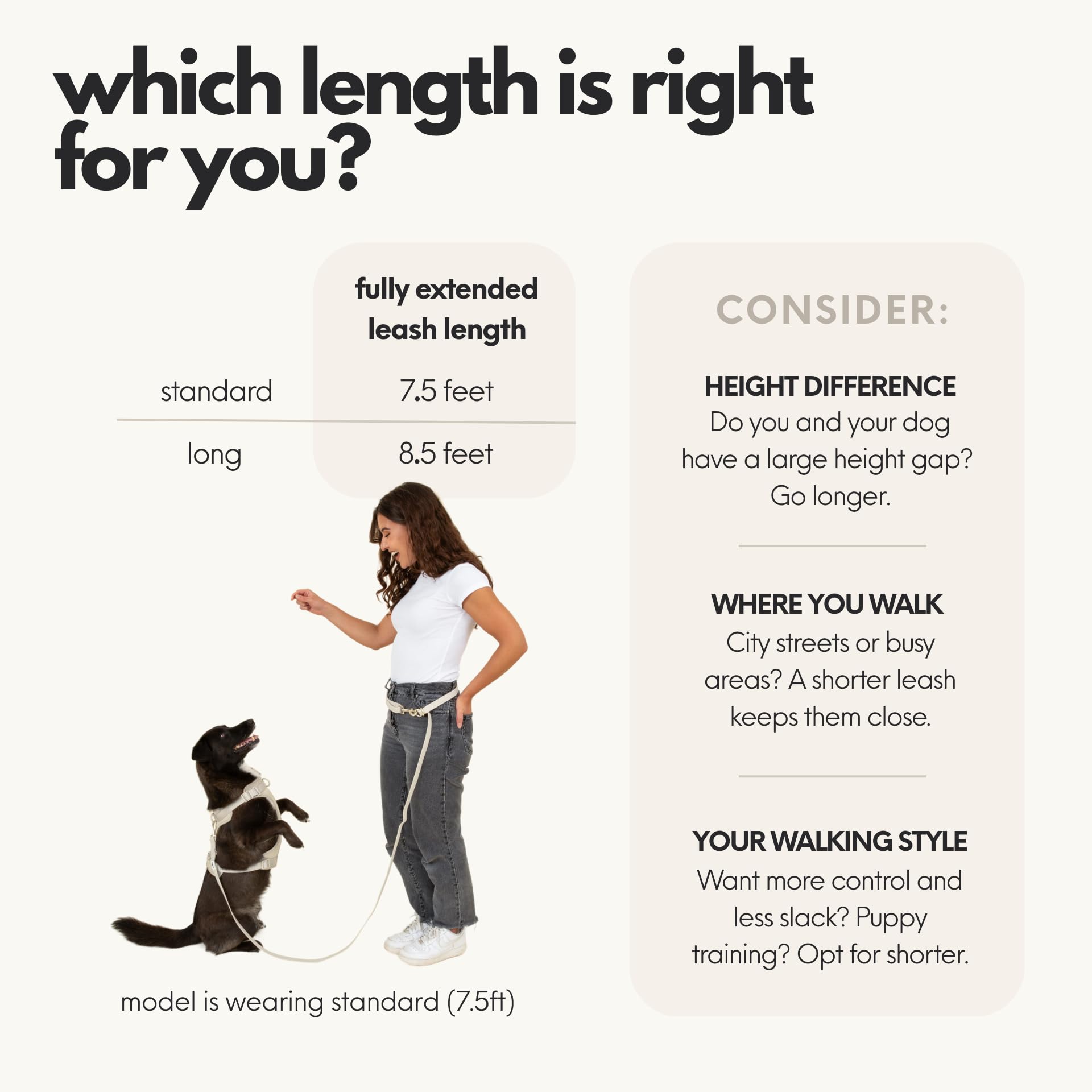Elby, Laisse Mains Libres pour Chien avec Pochette à friandises, Laisse à bandoulière avec Sac Banane, Sac de Marche pour Dressage d'animaux de Compagnie, Accessoires et Essentiels pour Chiens de