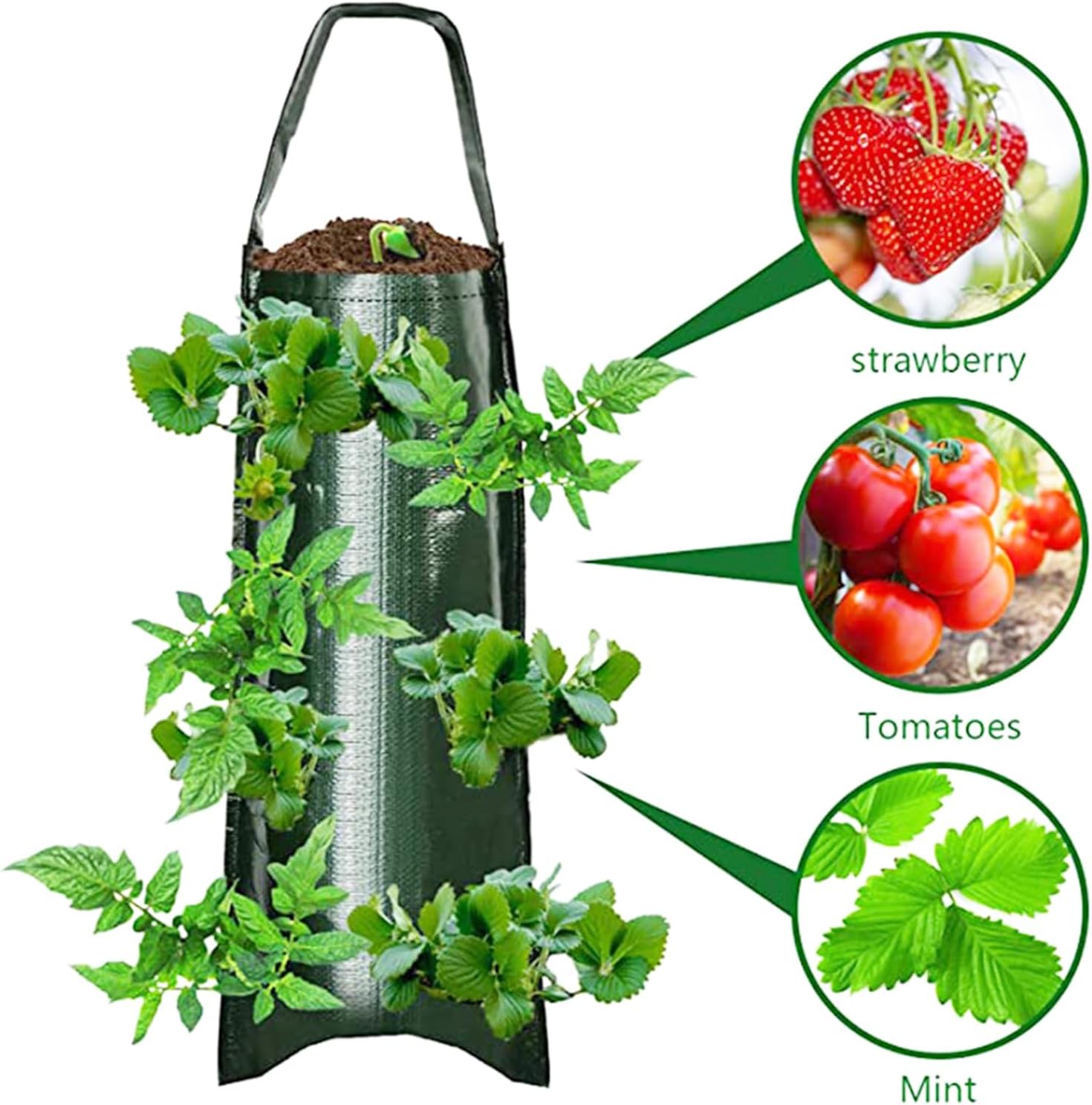 3Pcs Hanging Grow Bags, Flower Strawberry Planter Bags, Multifunction Vegetable Flower Strawberry Herbs Plant Grow Bags for Vertical Gardening