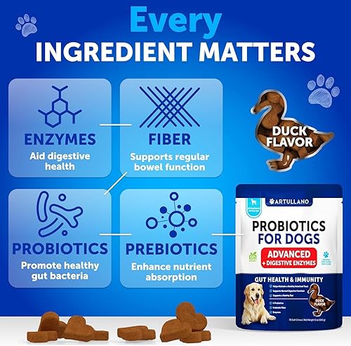 Miniatura 6 de Probióticos para Perros - Apoyo para la Salud Intestinal, Piel Con Picazón, Alergias, Inmunidad, Equilibrio de Levadura - Probióticos para Perros y