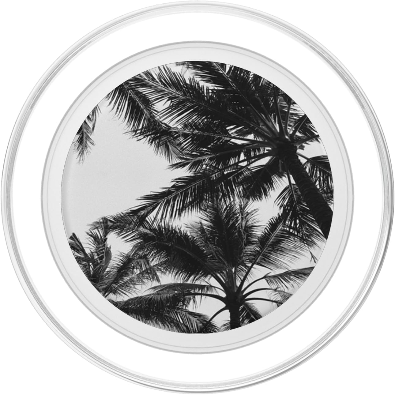 Palm Tree Photography Tropical Island Summer Black and White PopSockets PopGrip for MagSafe
