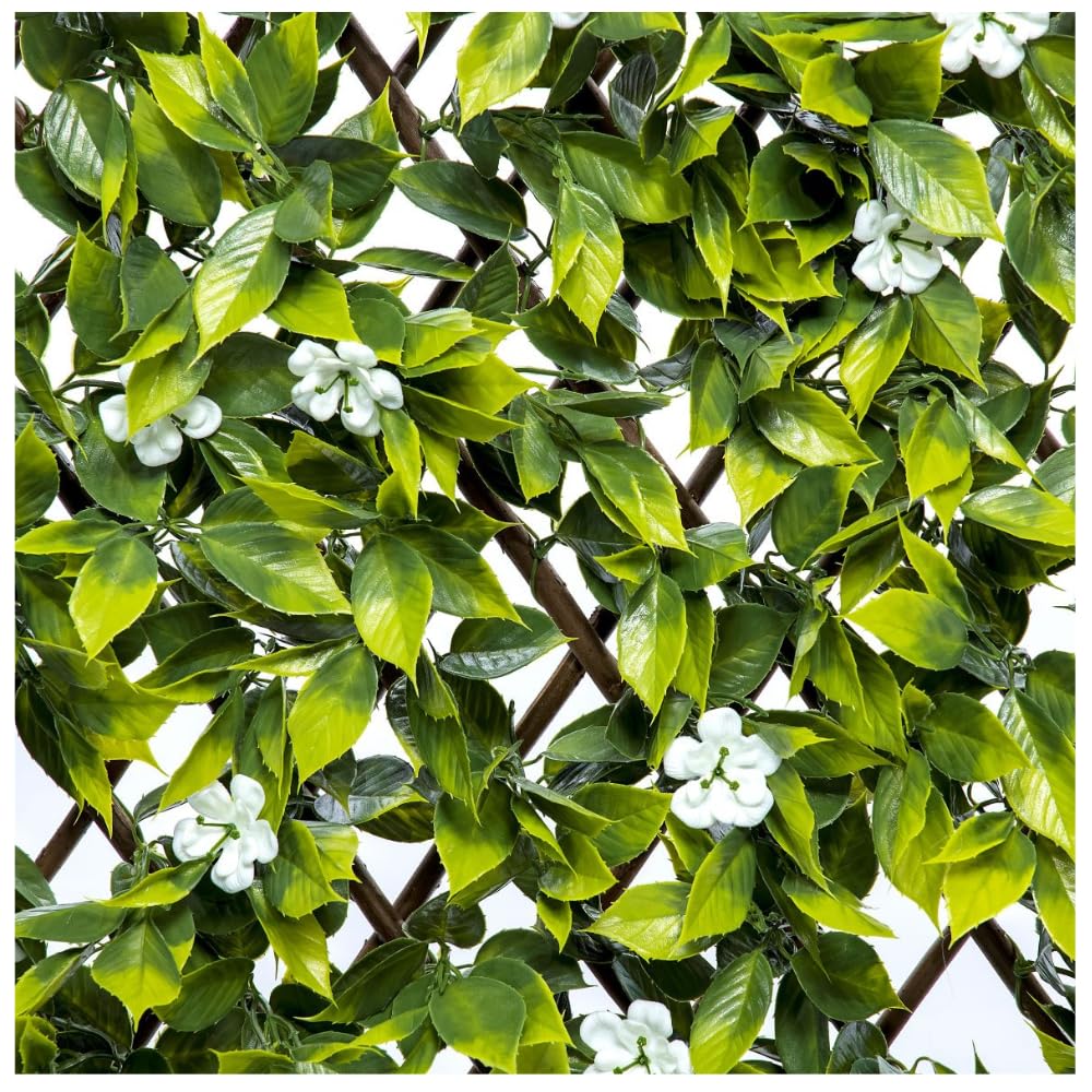 Expanding Wooden Trellis Privacy Screen200Cm X 100CmGarden Balcony FenceSakura from B&Q