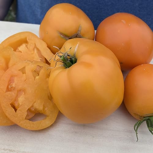 Semillas de Tomate Valencia Bio - Paquete de 300 Mg 84 Semillas - Sin OGM, Certificado Orgánico, Heirloom - Huerto - Lycopersicon esculentum