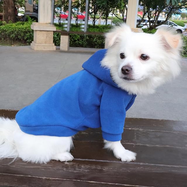 Foto 4 de 6 de HuaLiSiJi Jersey para Perros Sudadera Chihuahua Sudadera para Gato Ropa de Aabrigo para Perros