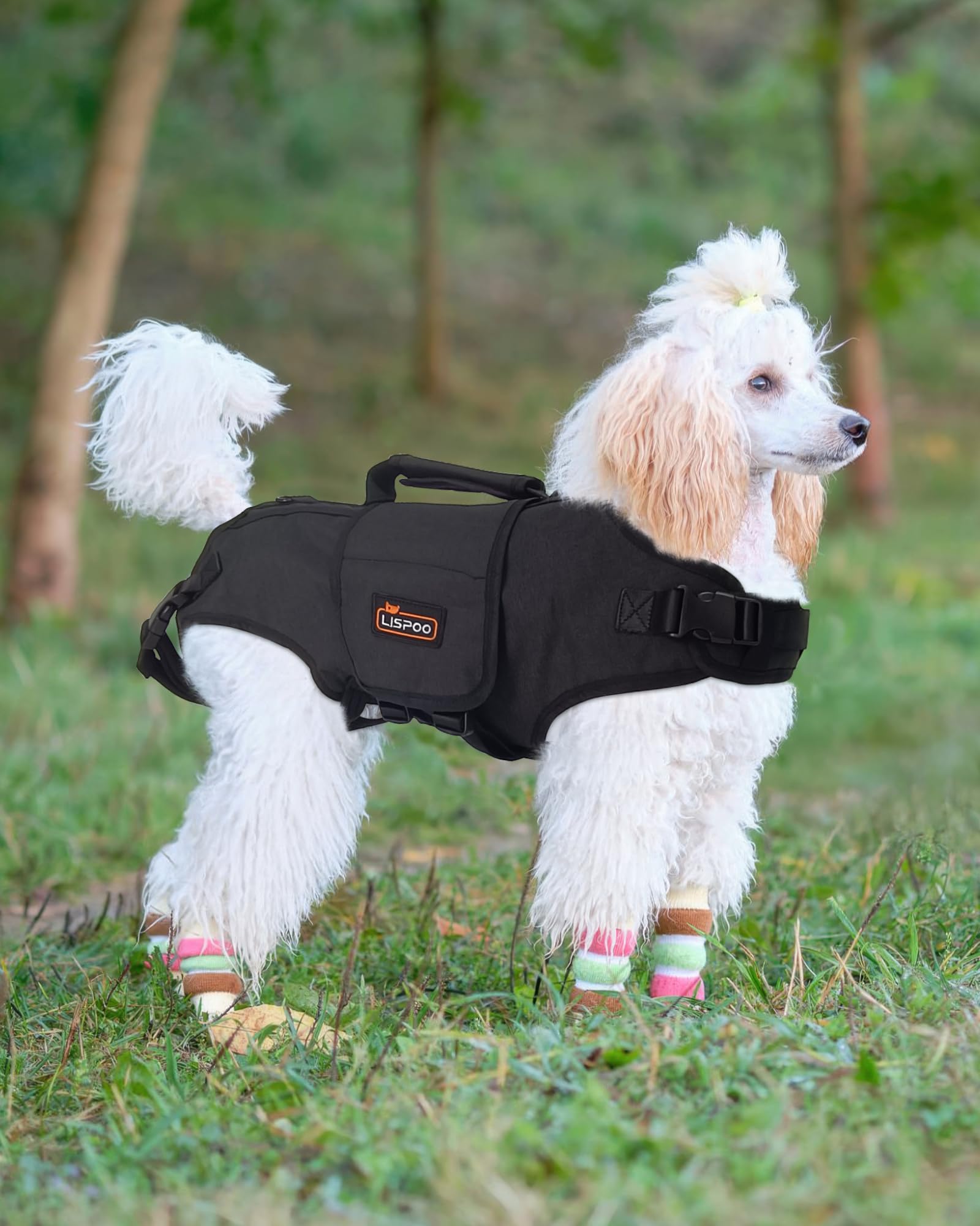 LISPOO Full Body Lift Harness for Dogs-Hind Leg Support Sling for Dogs with Hip Dysplasia Arthritis-Adjustable Recovery Harness-Stability Assistance & Walking Help with Easy Lift Handle M-Size