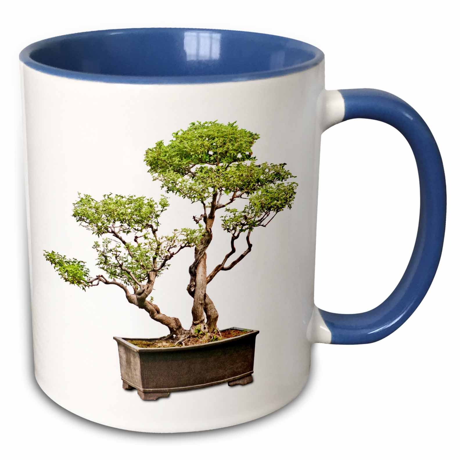 3dRose 13927_6 Penjing Bonsai Mug, 11 oz, Multicolor