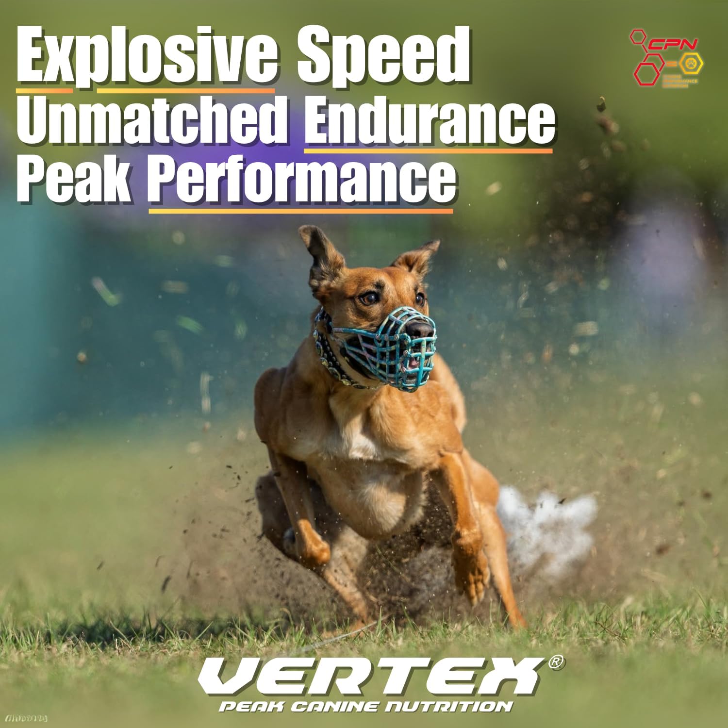 Vertex High-Performance Dog Supplement – Predigested Liver, Whey & Egg Protein – Supports Muscle, Recovery, Fertility, Digestion & Milk Production – Ideal for Working, Breeding & Active Dogs - 4 lbs