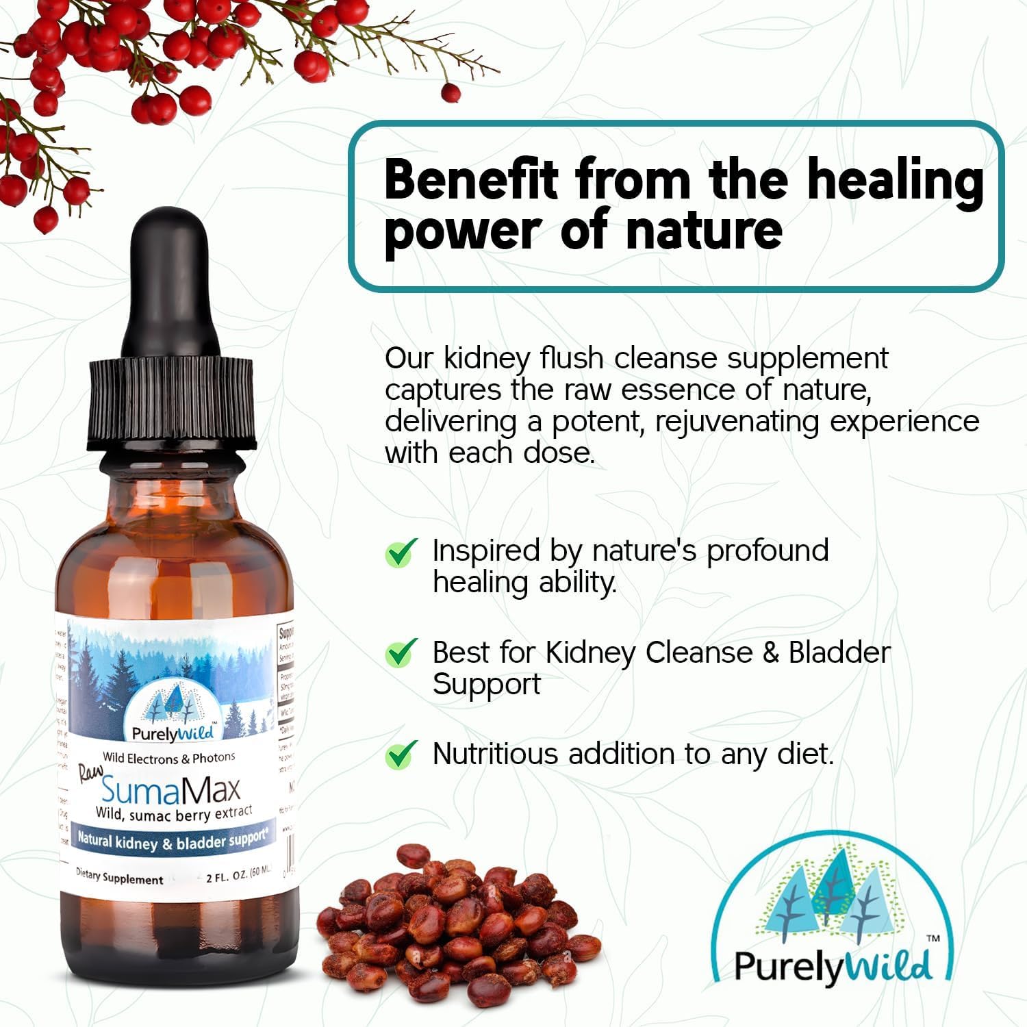 PURELY WILD Sumamax Wild Sumac Berry & Cranberry Concentrate by Dr. Cass Ingram - Urinary Tract, Bladder & Kidney Support - No Sugar, No Sweeteners - Non-GMO Liquid Drops - 2 fl oz Dropper